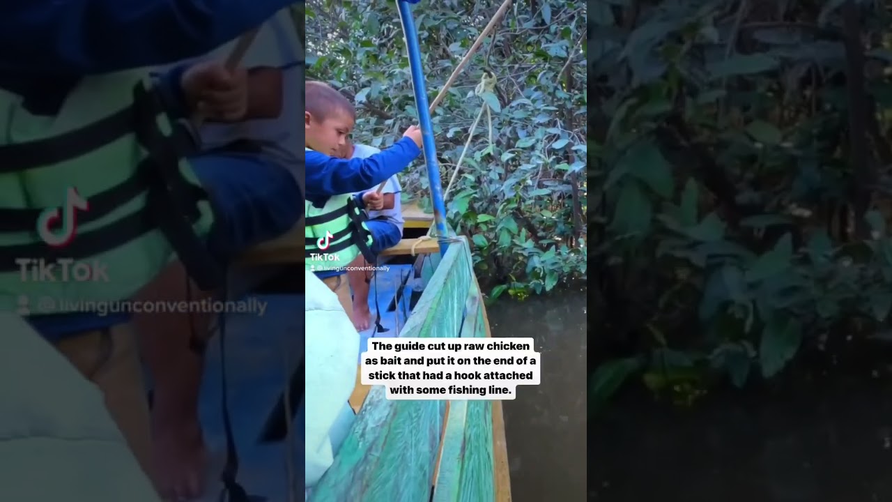 We took our kids piranha fishing in the Amazon 🎣 