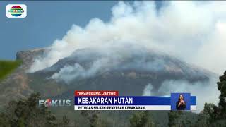Kebakaran Hutan di Gunung Sumbing Meluas Hingga ke Kabupaten Magelang - Fokus