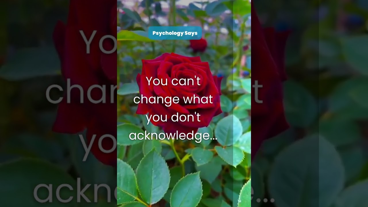 The Power of Acknowledgment Honesty as a Catalyst for Change 