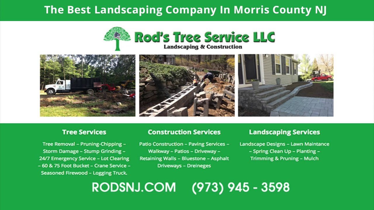 Tree Removal Company In Morris County NJ