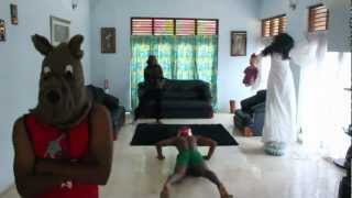 Epic Harlem Shake HD