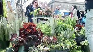 Ag Day on the Agriculture Quad