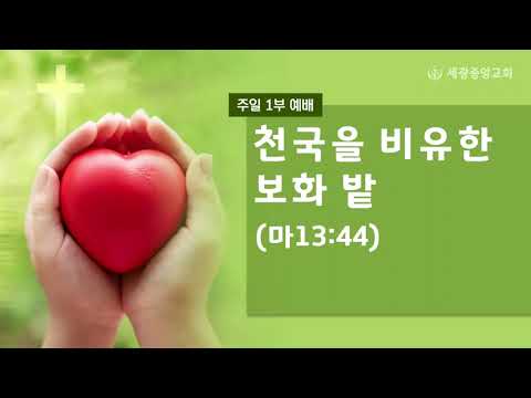 2023.03.19 (주일1부) 천국을 비유한 보화 밭 - 채수빈 목사