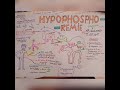 Tous savoire sur lhypophosphoremie rgulation physiologique pth  etiologies rnale partie 1