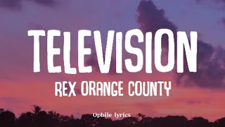 Rex Orange County - Television / So Far So Good (lyrics)