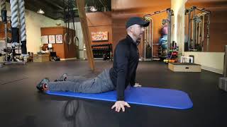 Seal Stretch
