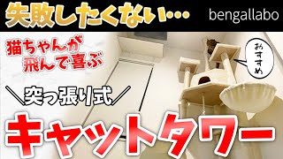 迷ったら突っ張り式おすすめのキャットタワーを選ぶポイントと失敗しないコツ