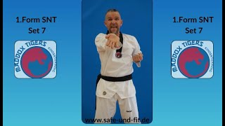 Maddox Tigers Form Set 7