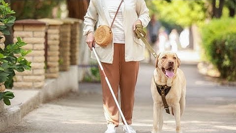 These smartglasses use AI to help blind people navigate without dogs or canes. This is how they work