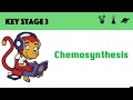 Chemosynthesis and Photosynthesis Quiz