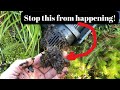 How do you stop a pond pump from getting clogged