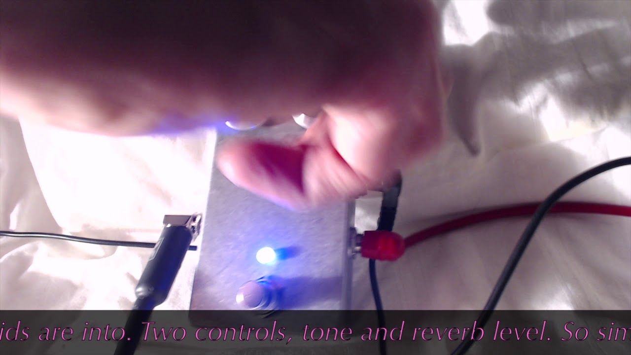 Beckeffect - Heaven's Gate Reverb (a Fuzz Dog UK build)