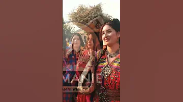 Mariage Traditionnel Kabyle زواج تقليدي الامزيغي 