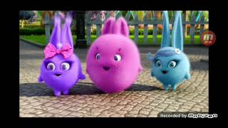 Sunny Bunnies Voice Over 2