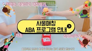 매칭을 위한 ABA 프로그램｜사물매칭｜사물이름변별｜촉구방법｜명명하기