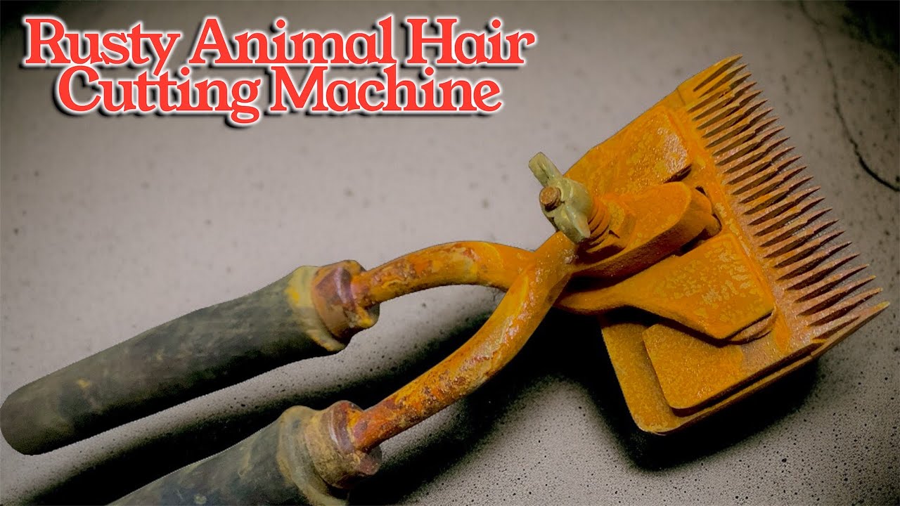 I Restored a 100% Rusty Animal Hair Cutting Machine – Satisfying Restoration