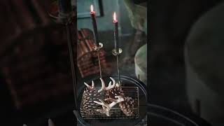 Pine cone magic, spells, rituals 🌲✨🔮 #spells #witchcraft #greenwitch #witchy Net Worth