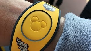 The new magicbands have been released at wdw! check out two styles
including by a star wars special edition! find more information
www.sandandorsnow.c...