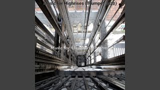 Amazing Ambience for Elevators
