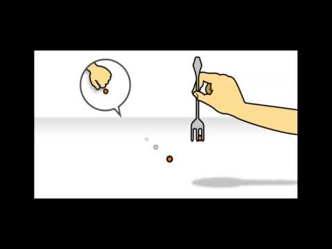 Knowledge to action forex strategies
