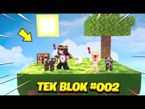 SAKAR BEBEK KARDAN ADAM YAPTI  TEK BLOK !! 😱 Minecraft