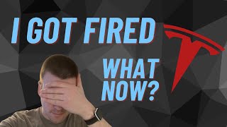 I Got Fired by Tesla  What Now?