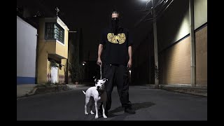 Perro Zw - Así Son Mis Lunas (Tributo a Control Machete)