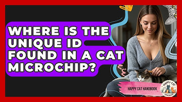 Where Is The Unique ID Found In A Cat Microchip? - Happy Cat Handbook