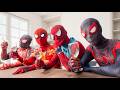 Spider Man Into The Spider Verse 2026 Spider Man Brand New Day Avengers Spiderman Thor