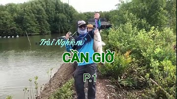 CẦN GIỜ, MỘT CHUYẾN CÂU VÀ TRẢI NGHIỆM| #fishing #barramundi #cangio #sea-bream