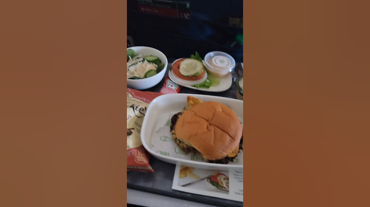 SHAKE SHACK IN THE SKY! FOOD REVIEW: Delta in-flight meal #foodreview #delta #burgers #shakeshack