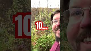10 days left… #shorts #shortsvideo #countdown