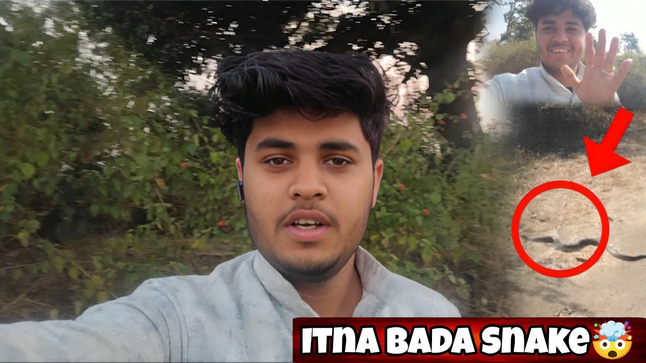 Etna Bada Snake Dekha Phli Baar 🤯 