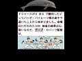 大谷翔平左膝の炎症は「投球メカニクス(フォーム)」が原因Shohei Ohtani's left knee inflammation is caused by "pitching mechanics