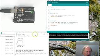 Outputting Ascii Art with an Arduino