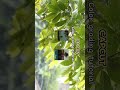 CapCut Trending Filter Tutorial 2026 | Viral Cinematic Color Grading Effect 🔥#shorts