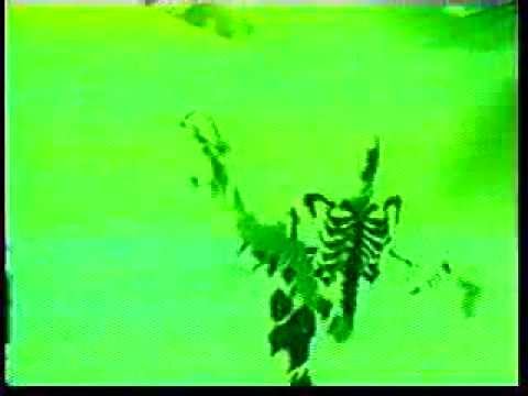 BALZAC - Night of the Blood Beast