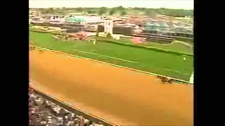 Rachel Alexandra - All 13 wins