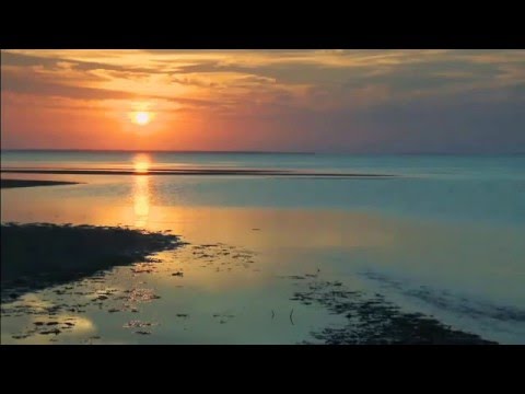 Surah An-Naml recited by Mishary Al-Afazy