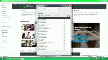 11  How to setup a New User in Sage 50 for your Adept Tools