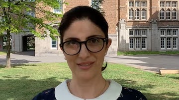 Mandana Afrasiabi: Experienced Consultant and Team Lead at Amaris Consulting