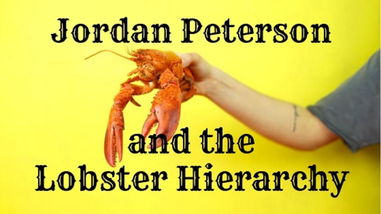 Jordan Peterson and the Lobster Hierarchy YouTube