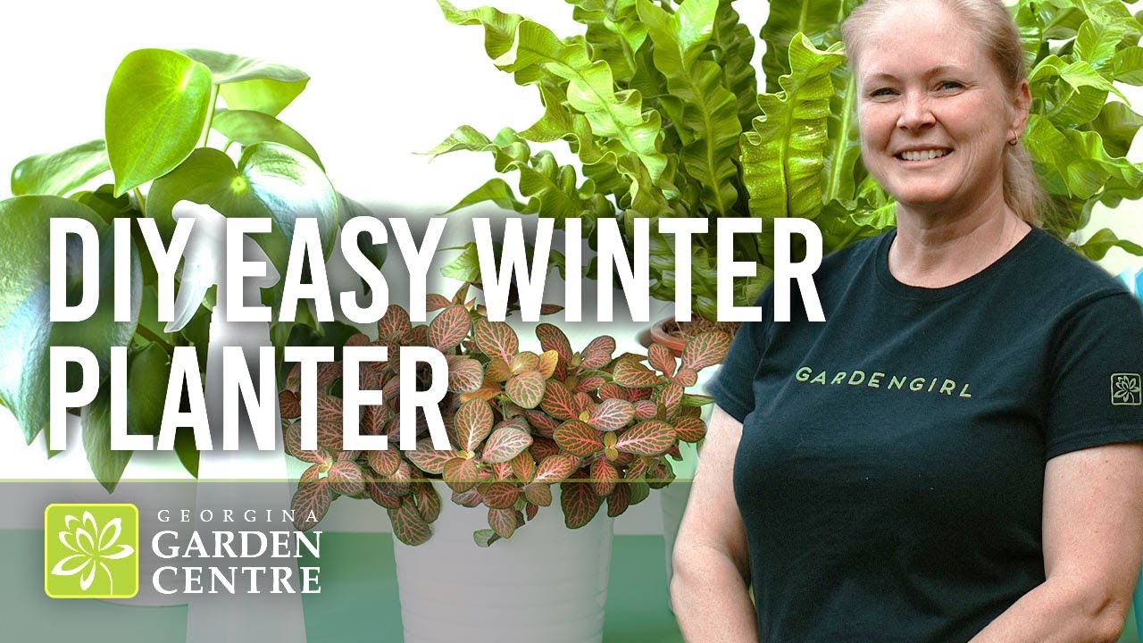 How to Make Beautiful Winter Planters | Easy DIY Tips with Shannon the Garden Girl