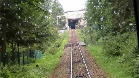 Deep analog way - q120