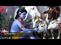 Jagan mohanane krishna in saviganasiriyou can send the singings toodetails in description