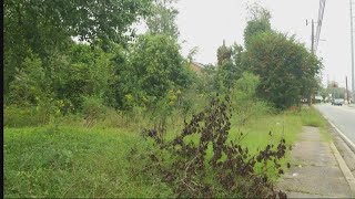Commissioners want to get serious about cleaning up Augusta