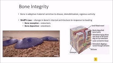 Biomaterials   Recorded Lecture for 03 18 19