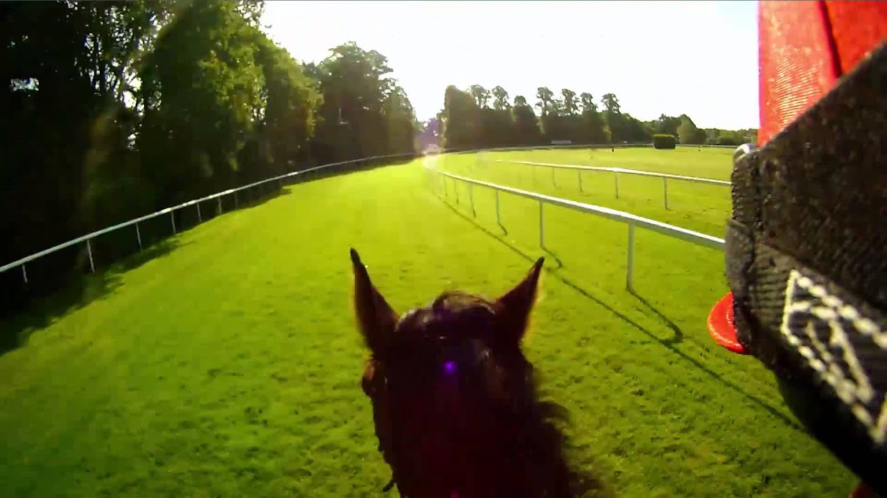 The Coral Eclipse Qipco British Champions Series The Coral Eclipse Qipco British Champions Series