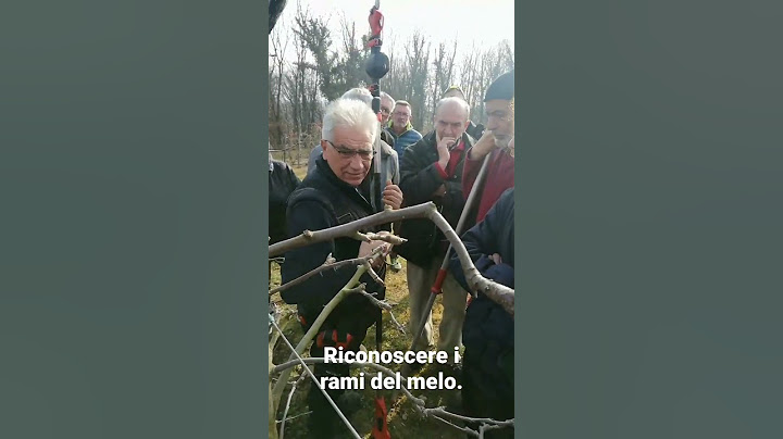 I rami del melo. Corso di potatura piante da frutto. #stockergarden #stocker #potatura #melo