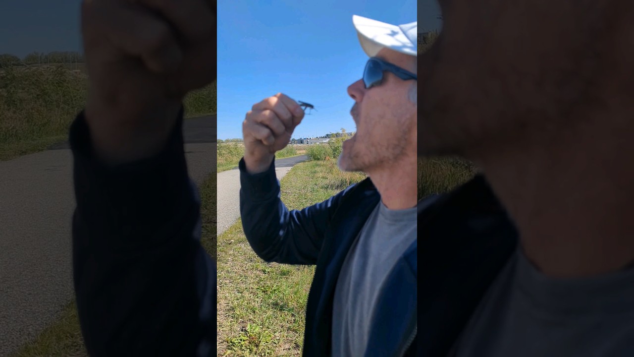 Would you eat a grasshopper?